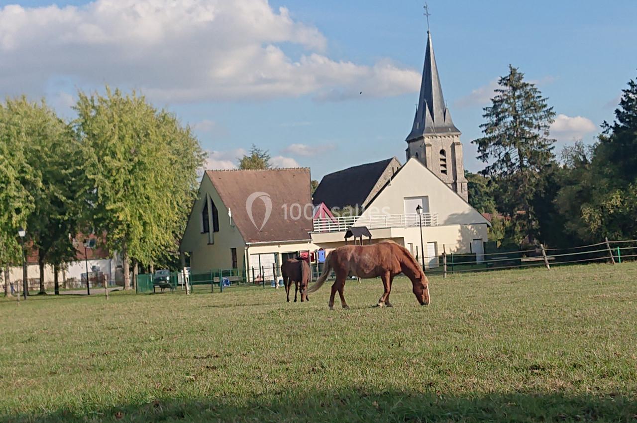 Chevaux broutant dans un pré verdoyant, avec des maisons et un clocher d'église en arrière-plan.