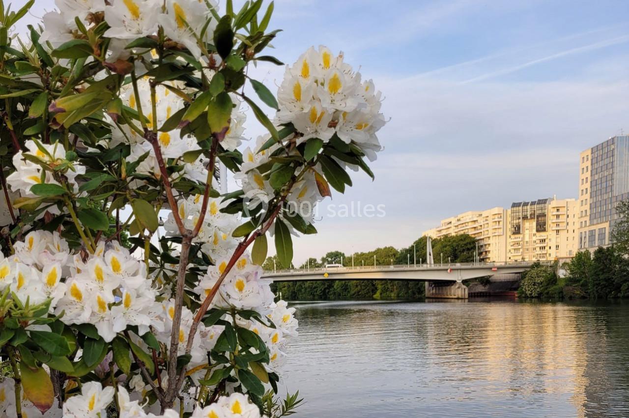 Arbuste fleuri avec des fleurs blanches au bord d'une rivière, pont et bâtiments en arrière-plan sous un ciel dégagé.