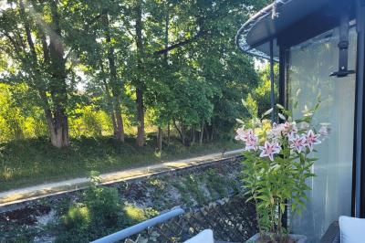 Plateau de mini-sandwichs variés, verrines et décorations florales comestibles, présenté sur une table.