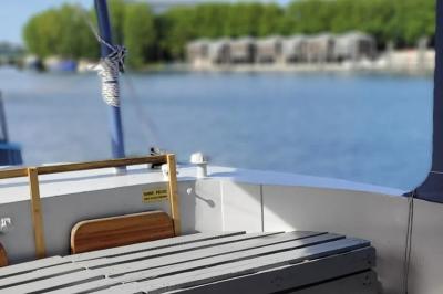 Plateau de mini-sandwichs variés, verrines et décorations florales comestibles, présenté sur une table.