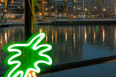 Plateau de mini-sandwichs variés, verrines et décorations florales comestibles, présenté sur une table.