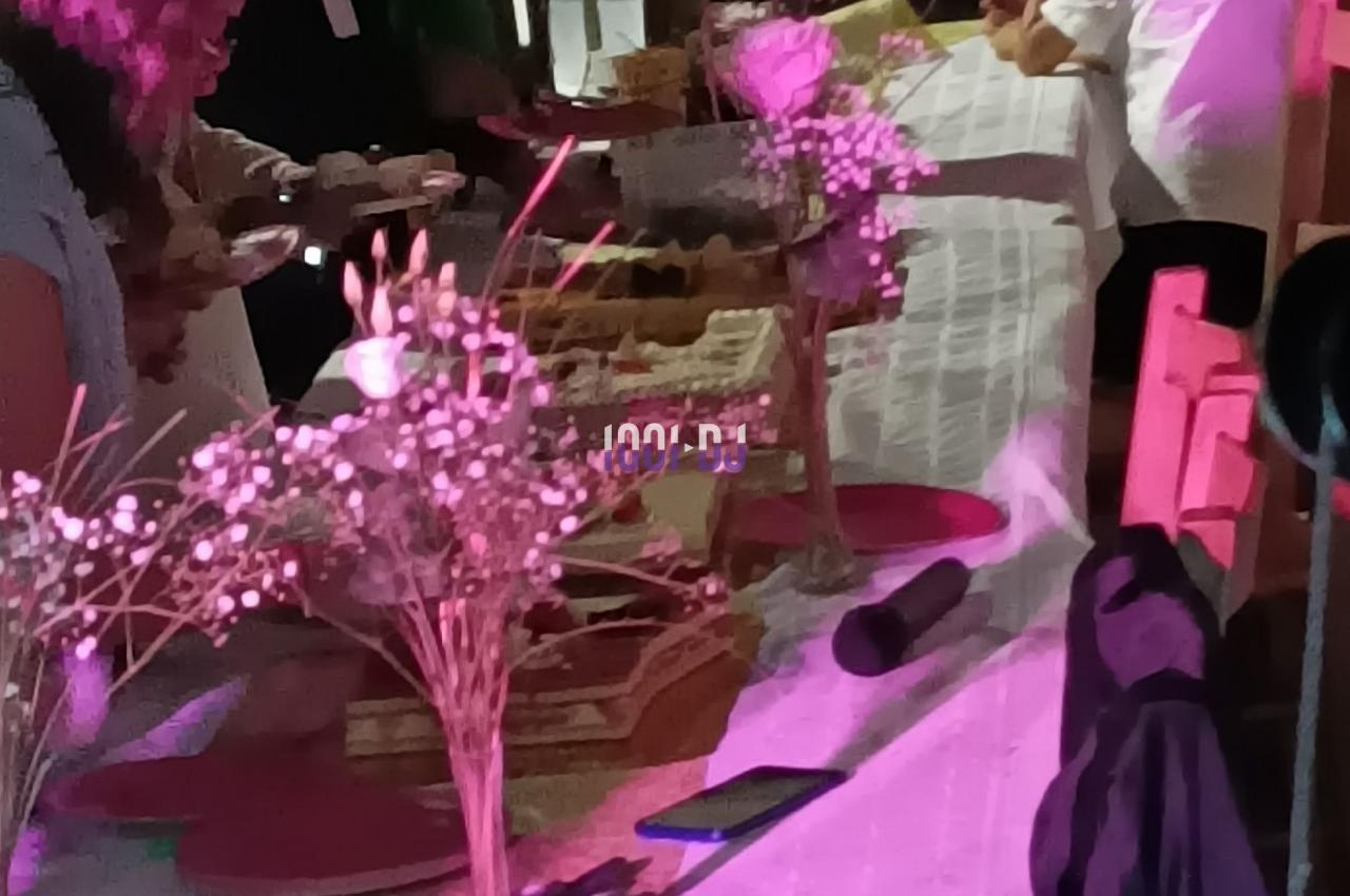 DJ Saint-Colomban (Loire-Atlantique) - Anim44 #4