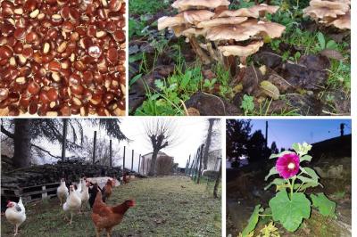 Location salle Sainte-Livrade-sur-Lot (Lot-et-Garonne) - Domaine du Petit Colombier #33