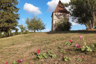 Location salle Sainte-Livrade-sur-Lot (Lot-et-Garonne) - Domaine du Petit Colombier #33