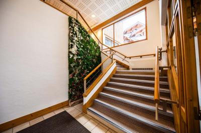 Entrée lumineuse avec tapis foncé, murs blancs, escalier en bois et plantes visibles à travers une cloison vitrée.