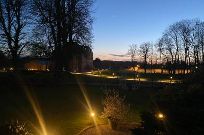 Des chèvres se tiennent près d'une clôture dans un champ herbeux entouré de barrières en bois.