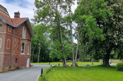 Des chèvres se tiennent près d'une clôture dans un champ herbeux entouré de barrières en bois.