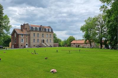 Château de la Brosse - photo 1