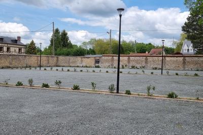 Des chèvres se tiennent près d'une clôture dans un champ herbeux entouré de barrières en bois.