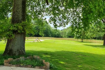 Des chèvres se tiennent près d'une clôture dans un champ herbeux entouré de barrières en bois.