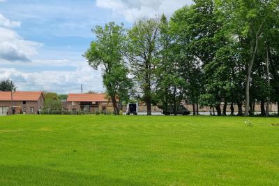 Des chèvres se tiennent près d'une clôture dans un champ herbeux entouré de barrières en bois.