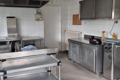 Des chèvres se tiennent près d'une clôture dans un champ herbeux entouré de barrières en bois.