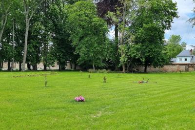 Présentoirs de lunettes de soleil exposés dans une salle lumineuse avec vue sur un espace extérieur verdoyant.
