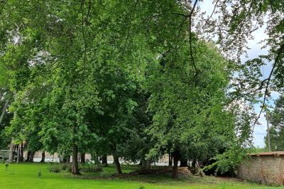 Présentoirs de lunettes de soleil exposés dans une salle lumineuse avec vue sur un espace extérieur verdoyant.