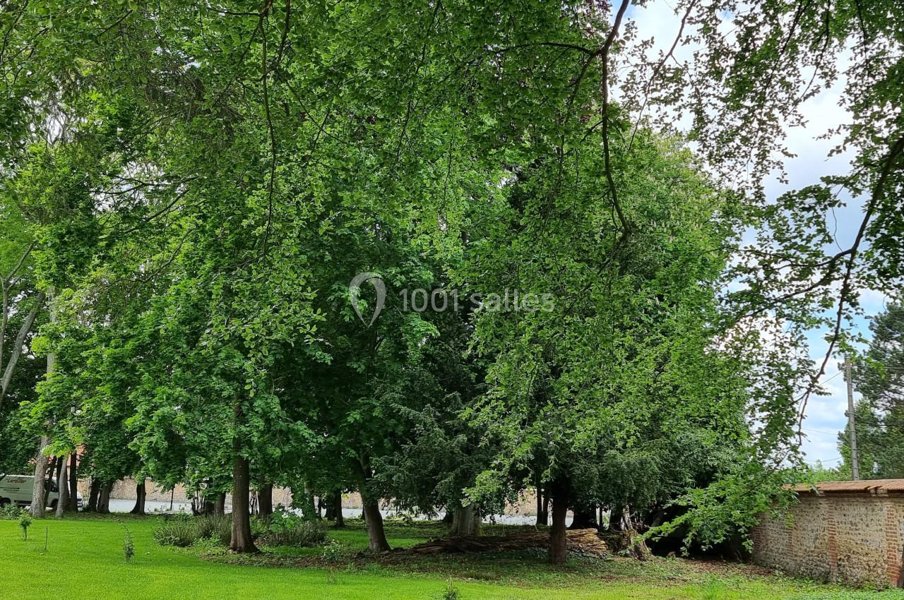 Un parc verdoyant avec des arbres denses, une pelouse bien entretenue et un mur en briques à droite.