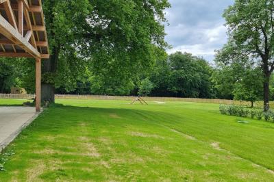 Présentoirs de lunettes de soleil exposés dans une salle lumineuse avec vue sur un espace extérieur verdoyant.