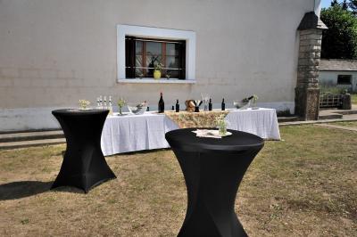 Location salle Saint-Didier-de-la-Tour (Isère) - La Serve de Veyssin #22