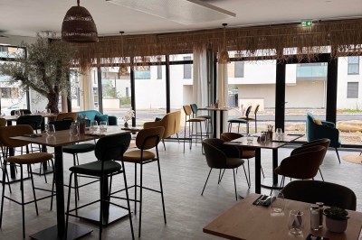 Salle de restaurant lumineuse avec tables en bois, chaises colorées et un olivier décoratif près de la fenêtre.