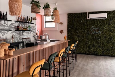 Salle de restaurant lumineuse avec tables en bois, chaises colorées et un olivier décoratif près de la fenêtre.