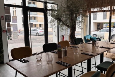 Salle de restaurant lumineuse avec tables en bois, chaises colorées et un olivier décoratif près de la fenêtre.