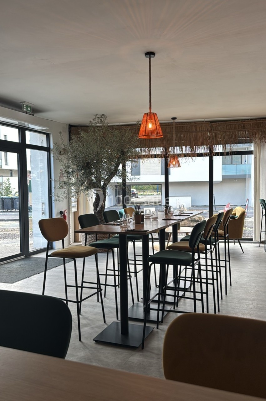 Salle de restaurant lumineuse avec une grande table haute, des chaises colorées et un olivier en pot.
