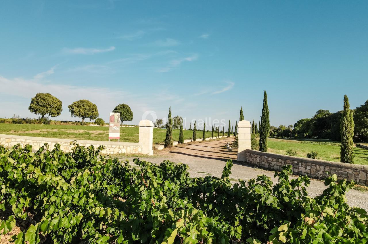 Allée bordée de cyprès menant à une entrée en pierre, entourée de vignes et de champs sous un ciel dégagé.