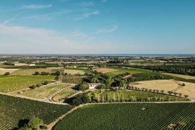 Personnes assises à des tables en plein air dans un jardin, entourées de verdure et de guirlandes lumineuses suspendues.