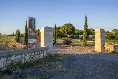 Personnes assises à des tables en plein air dans un jardin, entourées de verdure et de guirlandes lumineuses suspendues.