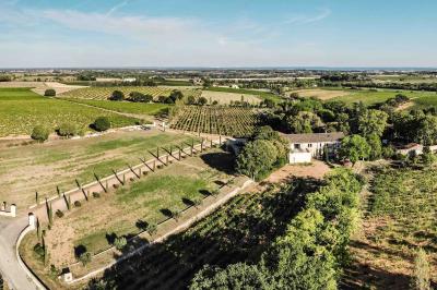 Personnes assises à des tables en plein air dans un jardin, entourées de verdure et de guirlandes lumineuses suspendues.