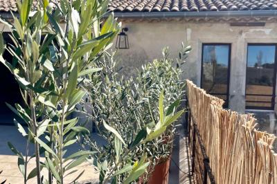 Personnes assises à des tables en plein air dans un jardin, entourées de verdure et de guirlandes lumineuses suspendues.
