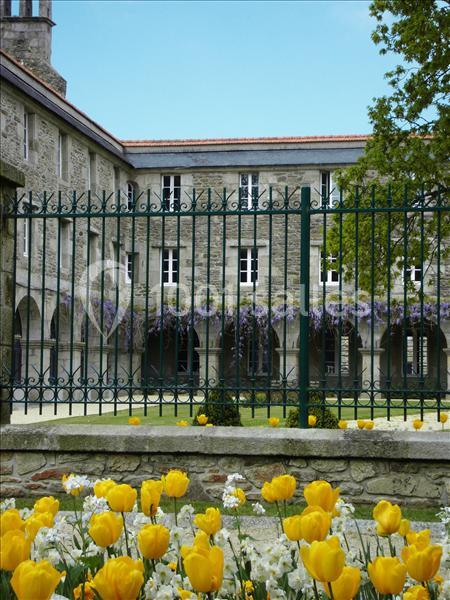 Location salle Lesneven (Finistère) - Les Arcades-Maison d’Accueil #5