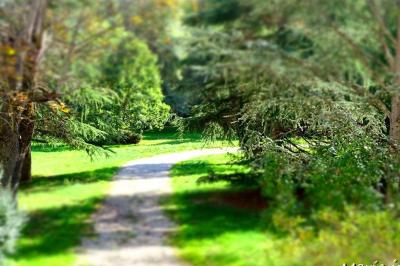 Location salle Castres (Tarn) - Domaine Del Luz #14