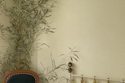 Location salle Pont-l'Abbé-d'Arnoult (Charente-Maritime) - Château de la Chaume #71