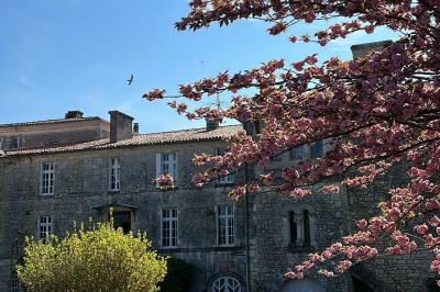 Location salle Pont-l'Abbé-d'Arnoult (Charente-Maritime) - Château de la Chaume #71