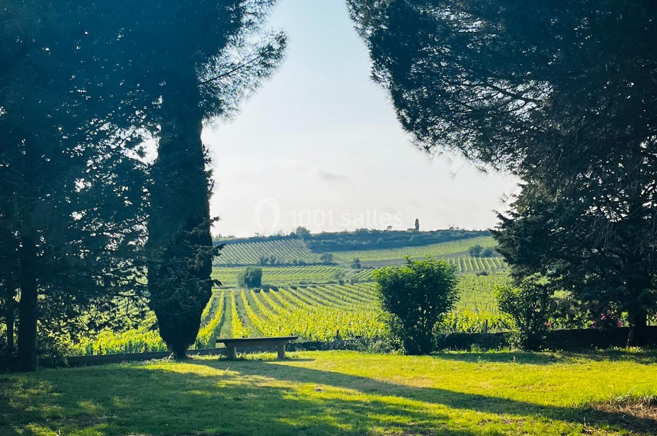 Paysage de vignobles sous un ciel clair, encadré par des arbres avec un banc en premier plan.