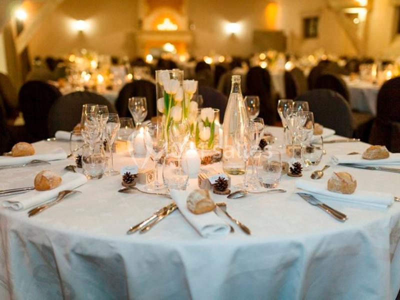 Location salle Pont-Saint-Martin (Loire-Atlantique) - Château De La Pigossière #4