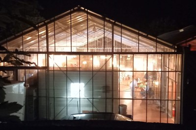 Miniature Location salle Névez (Finistère) - Jardins et Serres de Rospico #4 Grande salle lumineuse avec sol rouge, toit en verre, chaises blanches, comptoir et décorations suspendues.