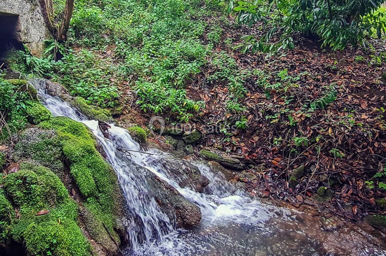 Location salle Gavaudun (Lot-et-Garonne) - Moulin de Saint-Avit #18