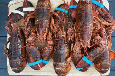 Traiteur Toulouse (Haute-Garonne) - Horace Events  #11