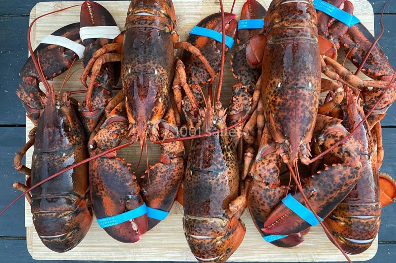 Traiteur Toulouse (Haute-Garonne) - Horace Events  #2