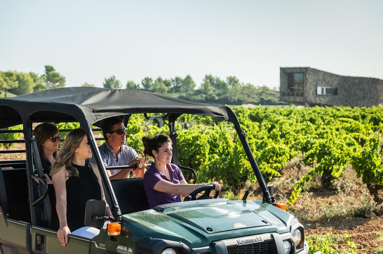 Location salle Assignan (Hérault) - Château & Village Castigno #24