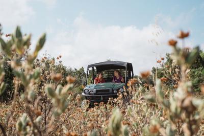 Location salle Assignan (Hérault) - Château & Village Castigno #66