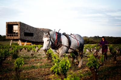 Location salle Assignan (Hérault) - Village Castigno #124