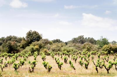 Location salle Assignan (Hérault) - Village Castigno #124