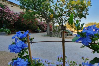 Portail en bois décoré de plantes grimpantes, donnant sur une cour ensoleillée bordée d'arbres et de végétation.