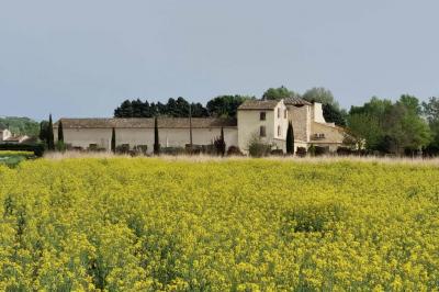 Portail en bois décoré de plantes grimpantes, donnant sur une cour ensoleillée bordée d'arbres et de végétation.