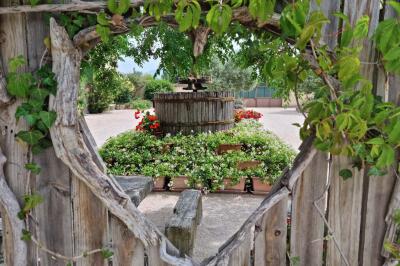 Portail en bois décoré de plantes grimpantes, donnant sur une cour ensoleillée bordée d'arbres et de végétation.