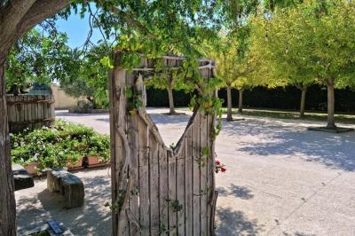 Portail en bois décoré de plantes grimpantes, donnant sur une cour ensoleillée bordée d'arbres et de végétation.