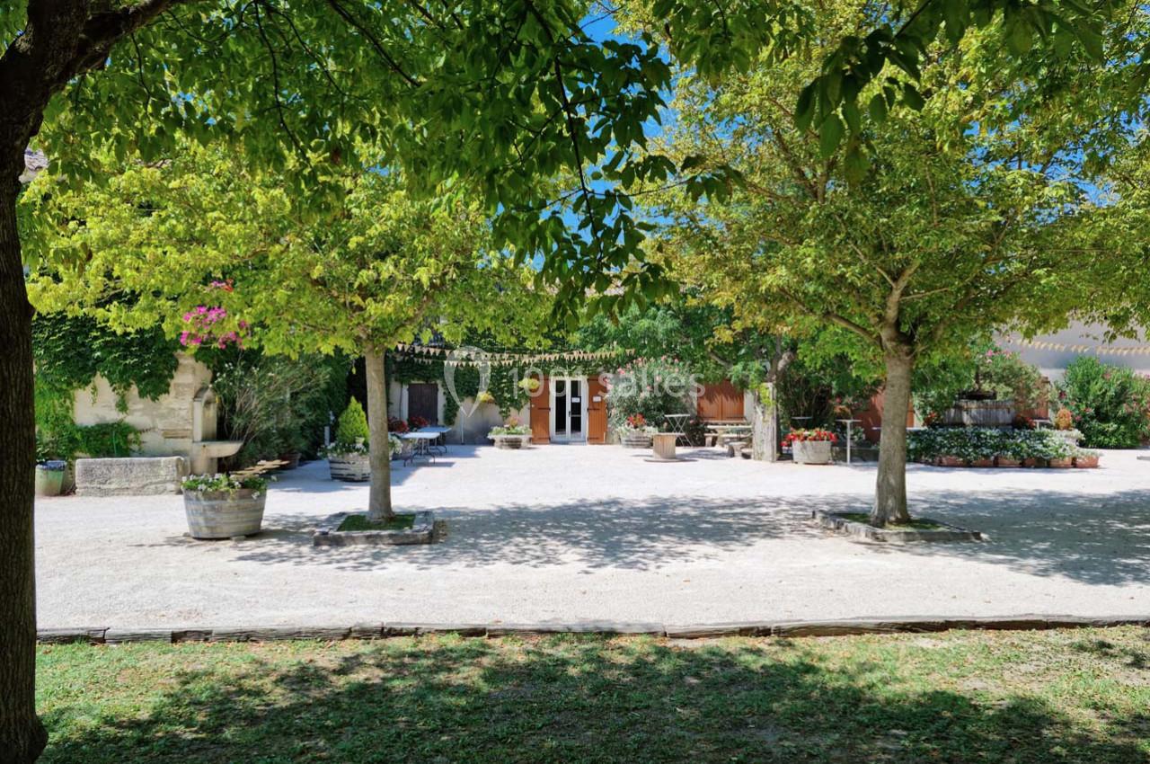 Cour extérieure ombragée avec arbres, pots de fleurs et bâtiment en arrière-plan sous un ciel bleu clair.