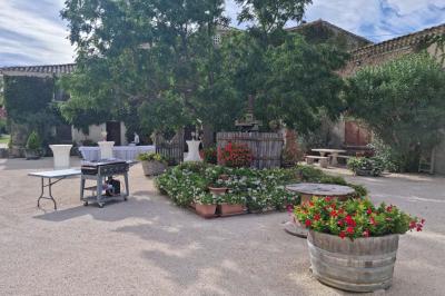 Portail en bois décoré de plantes grimpantes, donnant sur une cour ensoleillée bordée d'arbres et de végétation.